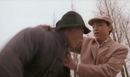 醉拳在线观看,在线重温经典武侠风华